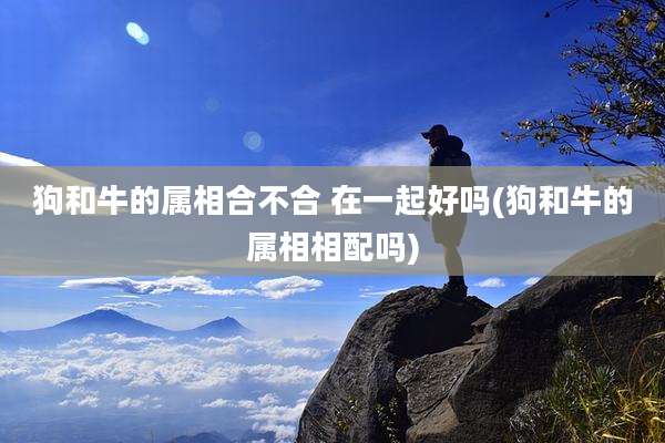 狗和牛的属相合不合 在一起好吗(狗和牛的属相相配吗)