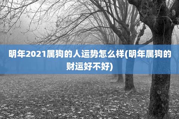 明年2021属狗的人运势怎么样(明年属狗的财运好不好)