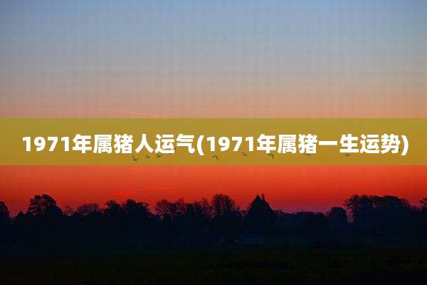1971年属猪人运气(1971年属猪一生运势)