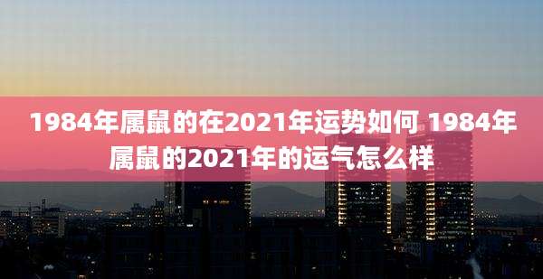 1984年属鼠的在2021年运势如何 1984年属鼠的2021年的运气怎么样