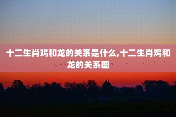 十二生肖鸡和龙的关系是什么,十二生肖鸡和龙的关系图