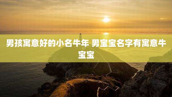 男孩寓意好的小名牛年 男宝宝名字有寓意牛宝宝