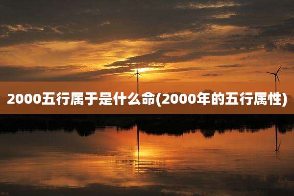 2000五行属于是什么命(2000年的五行属性)