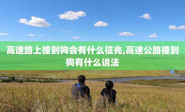 高速路上撞到狗会有什么征兆,高速公路撞到狗有什么说法