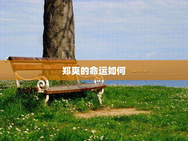 郑爽的命运如何