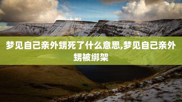 梦见自己亲外甥死了什么意思,梦见自己亲外甥被绑架