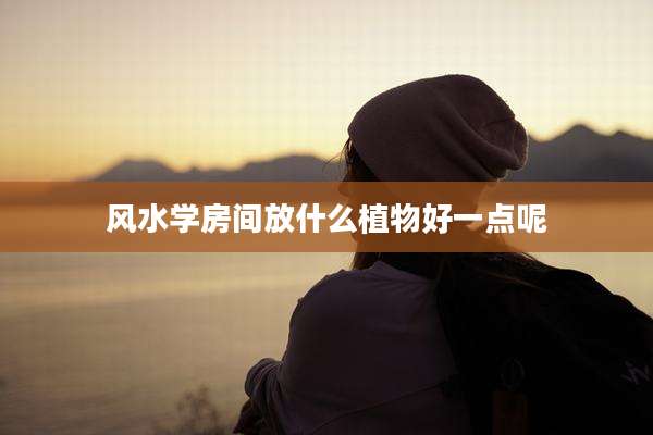 风水学房间放什么植物好一点呢