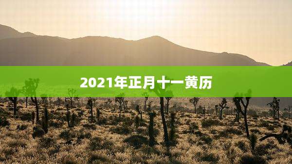 2021年正月十一黄历