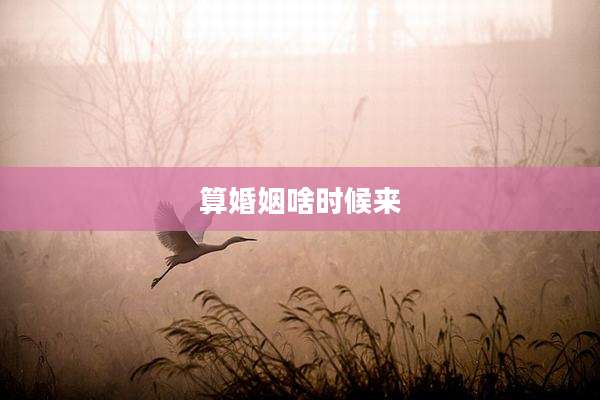 算婚姻啥时候来