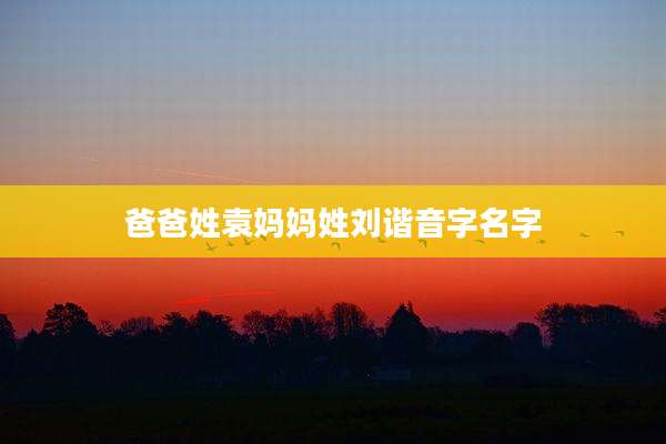 爸爸姓袁妈妈姓刘谐音字名字