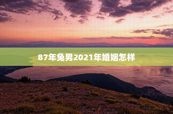 87年兔男2021年婚姻怎样