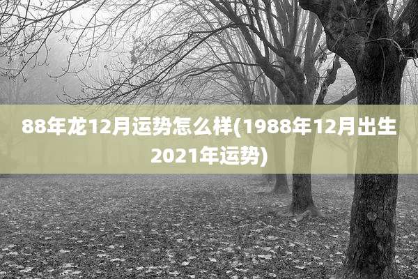 88年龙12月运势怎么样(1988年12月出生2021年运势)