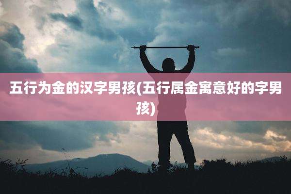 五行为金的汉字男孩(五行属金寓意好的字男孩)