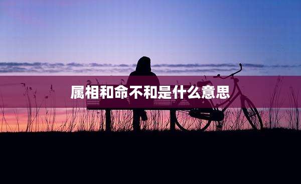属相和命不和是什么意思