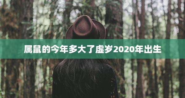 属鼠的今年多大了虚岁2020年出生