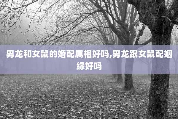 男龙和女鼠的婚配属相好吗,男龙跟女鼠配姻缘好吗