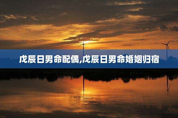 戊辰日男命配偶,戊辰日男命婚姻归宿