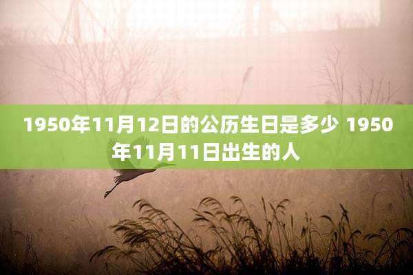 1950年11月12日的公历生日是多少 1950年11月11日出生的人