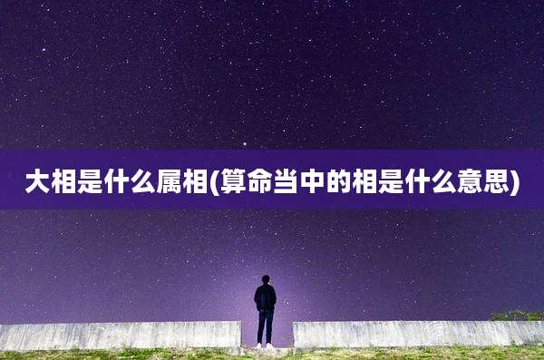 大相是什么属相(算命当中的相是什么意思)