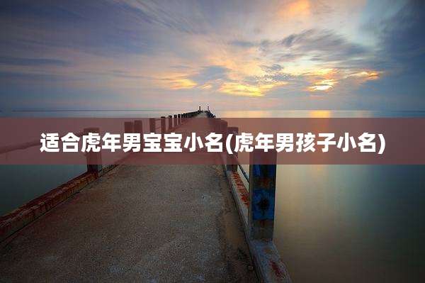 适合虎年男宝宝小名(虎年男孩子小名)