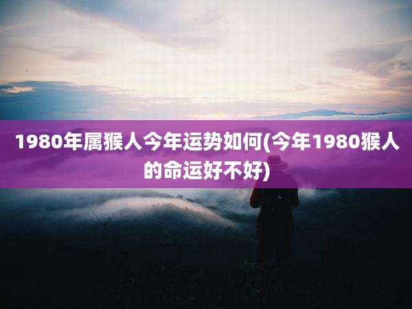 1980年属猴人今年运势如何(今年1980猴人的命运好不好)