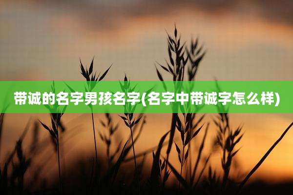 带诚的名字男孩名字(名字中带诚字怎么样)