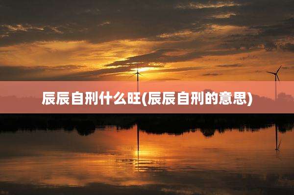 辰辰自刑什么旺(辰辰自刑的意思)