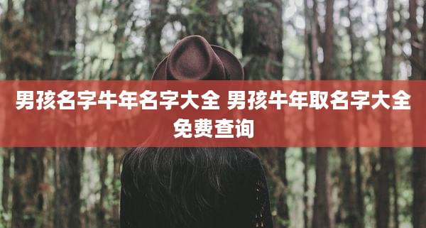男孩名字牛年名字大全 男孩牛年取名字大全免费查询