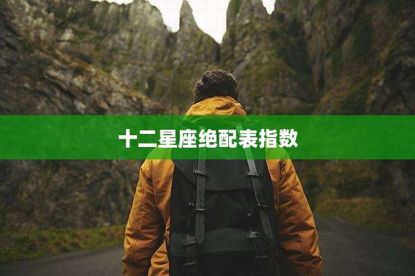 十二星座绝配表指数