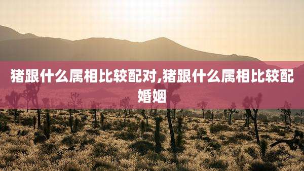 猪跟什么属相比较配对,猪跟什么属相比较配婚姻