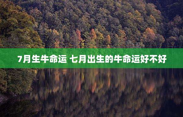 7月生牛命运 七月出生的牛命运好不好