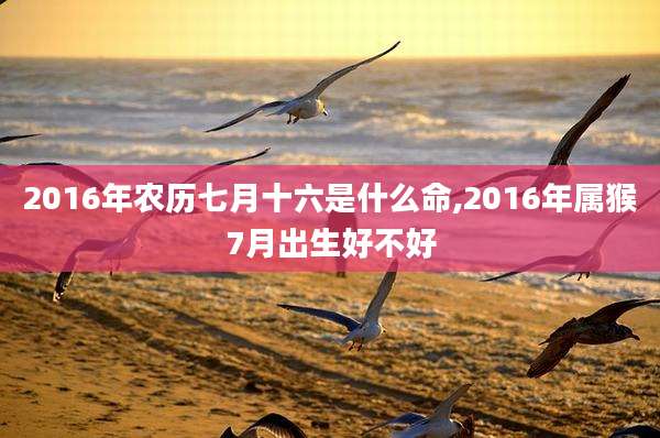 2016年农历七月十六是什么命,2016年属猴7月出生好不好