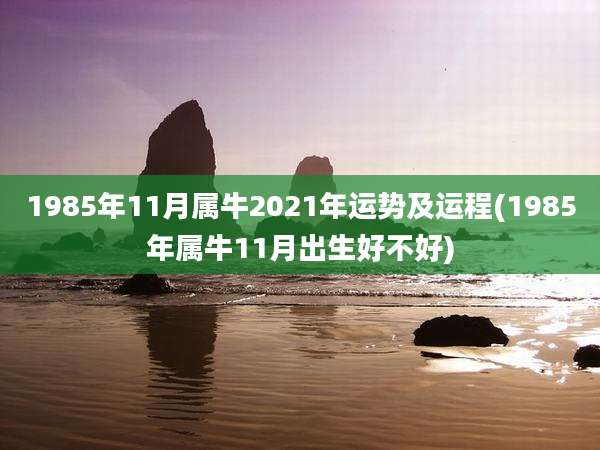 1985年11月属牛2021年运势及运程(1985年属牛11月出生好不好)