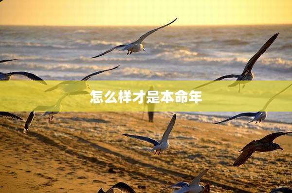 怎么样才是本命年