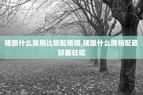 猪跟什么属相比较配婚姻,猪跟什么属相配最好最旺呢