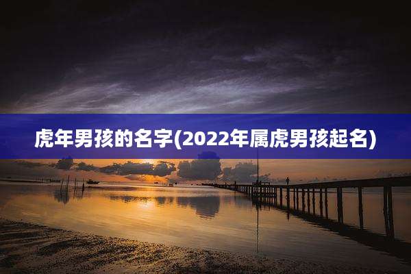 虎年男孩的名字(2022年属虎男孩起名)