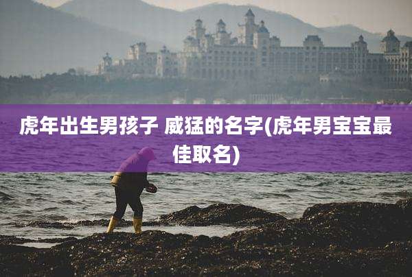 虎年出生男孩子 威猛的名字(虎年男宝宝最佳取名)