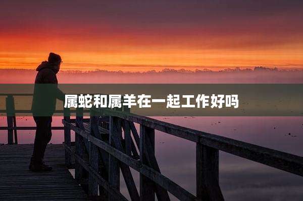 属蛇和属羊在一起工作好吗
