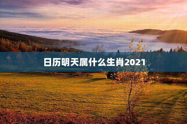 日历明天属什么生肖2021