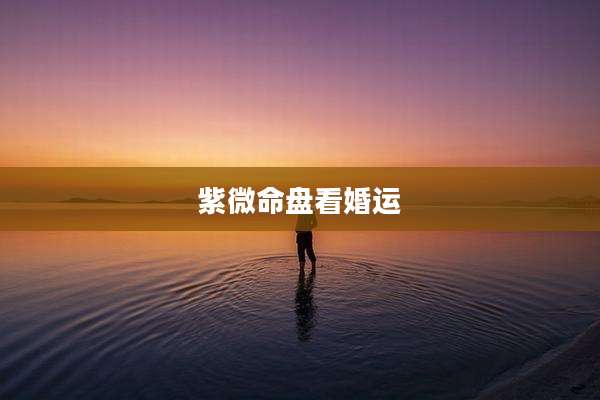 紫微命盘看婚运