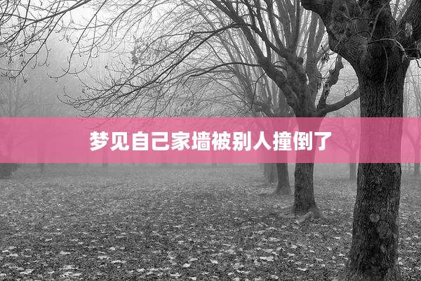 梦见自己家墙被别人撞倒了
