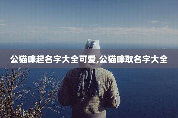 公猫咪起名字大全可爱,公猫咪取名字大全