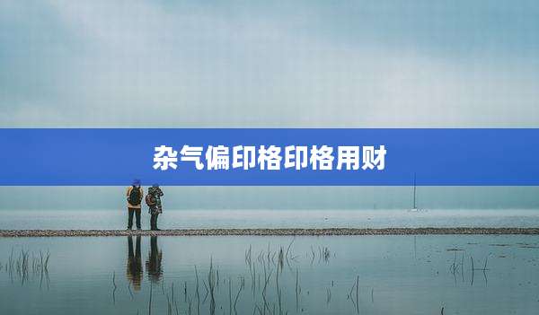 杂气偏印格印格用财