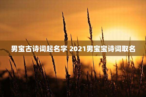 男宝古诗词起名字 2021男宝宝诗词取名