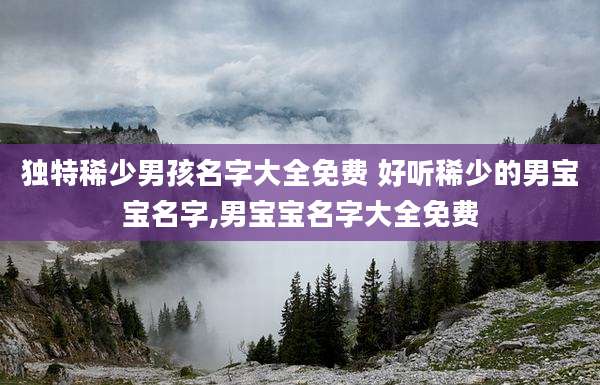 独特稀少男孩名字大全免费 好听稀少的男宝宝名字,男宝宝名字大全免费