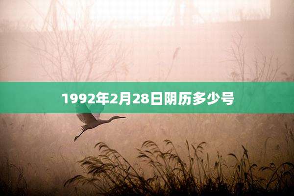 1992年2月28日阴历多少号