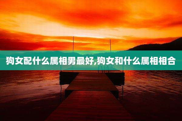 狗女配什么属相男最好,狗女和什么属相相合