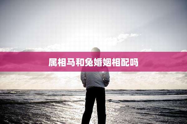 属相马和兔婚姻相配吗