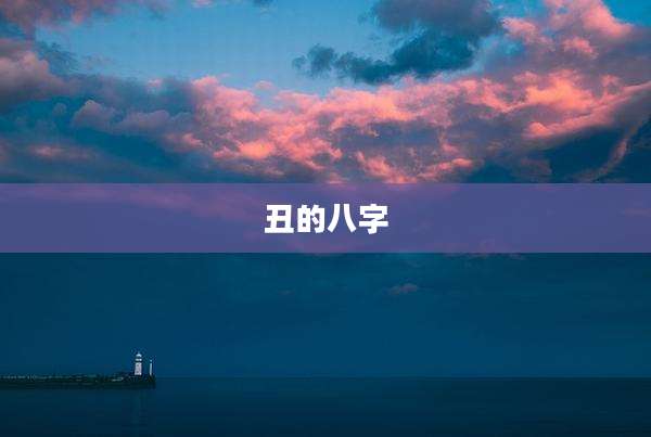 丑的八字