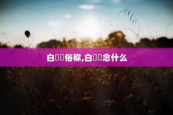 白鹡鸰俗称,白皛皛念什么